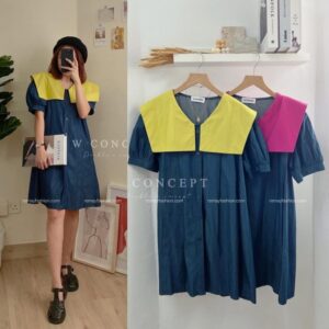 Collared Babydoll Dress